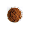 Free sample organic Chaga extract 4:1 broken wall ganoderma lucidum spore powder organic chaga mushroom extract powder